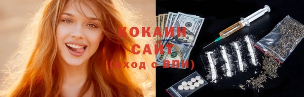 соль ск Алексин