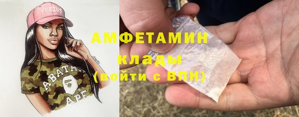 индика Алексеевка