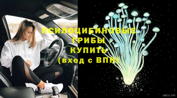 индика Алексеевка
