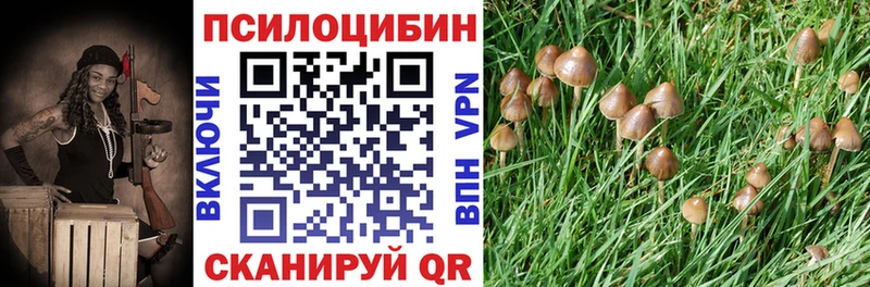 Галлюциногенные грибы мицелий  закладка  Бирюч 